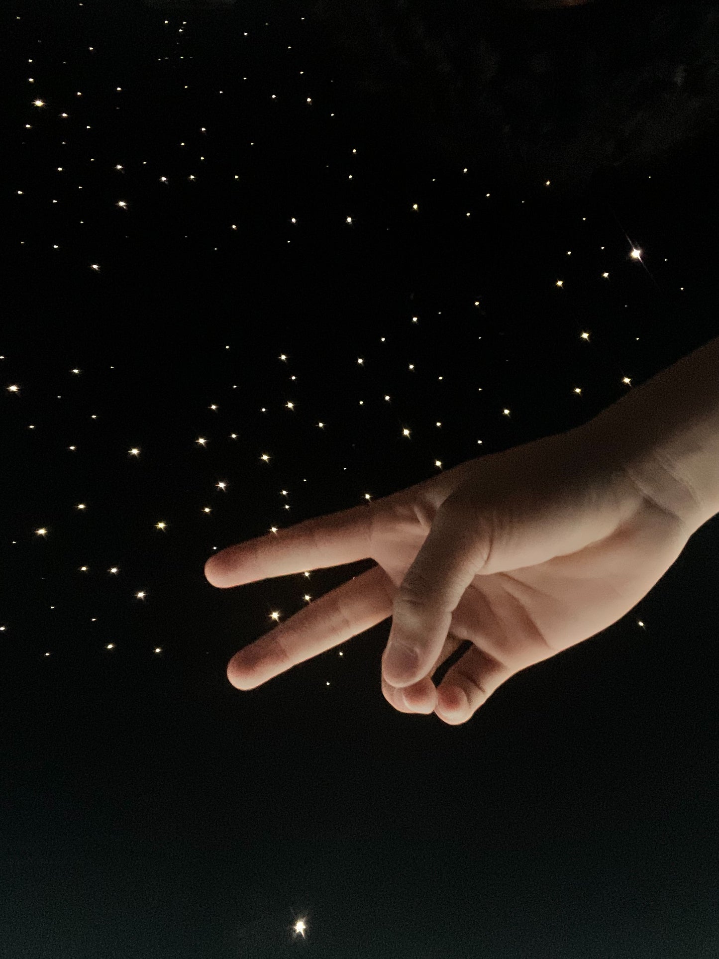 Starlight Headliner Installation (Miami Only)